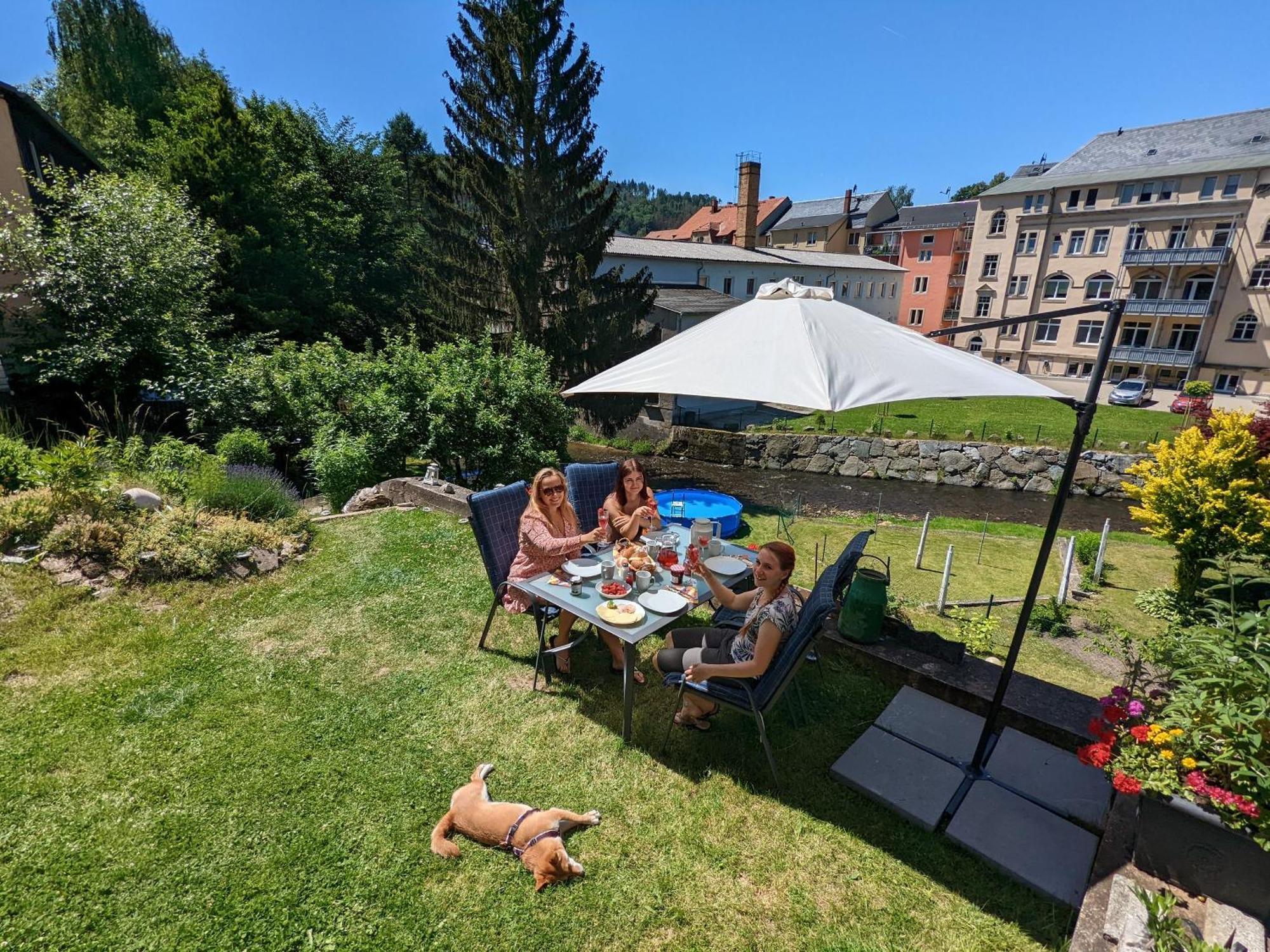 F3 Urlaubsmagie - Pool, Garten & Terrasse - 4P Sebnitz Exterior photo